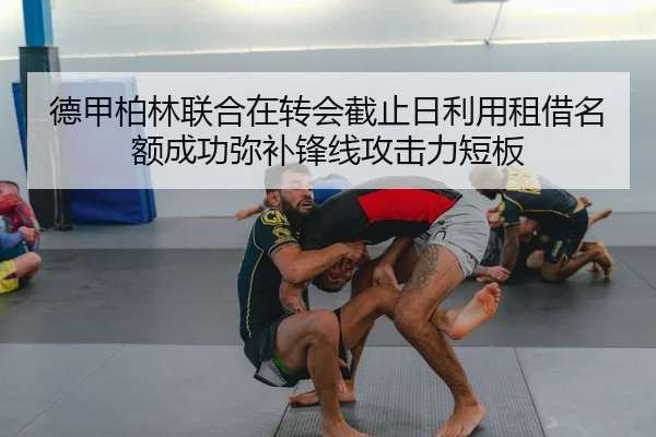 de-jia-bo-lin-lian-he-zai-zhuan-hui-jie-zhi-ri-li-yong-zu-jie-ming-e-cheng-gong-mi-bu-feng-xian-gong-ji-li-duan-ban-2-902.jpg